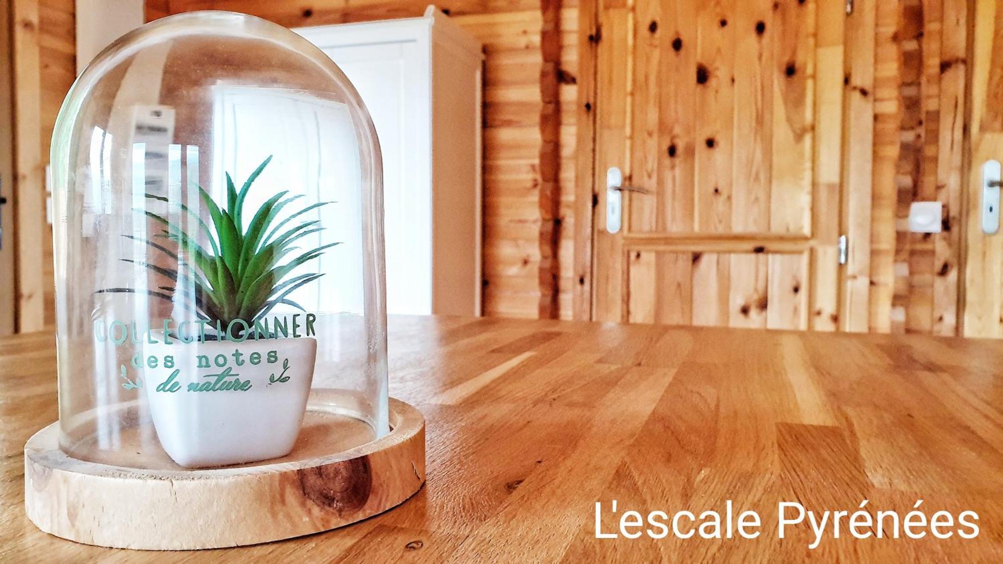 Apartment Le Jacuzzi Et Detente 4 Etoiles